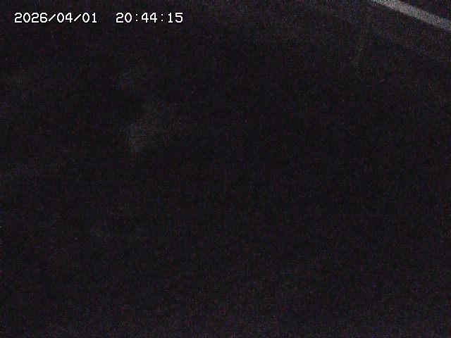 取得できませんでした