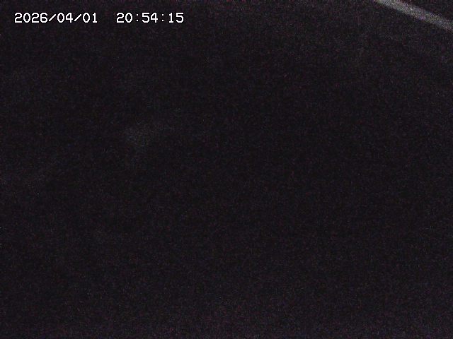 取得できませんでした