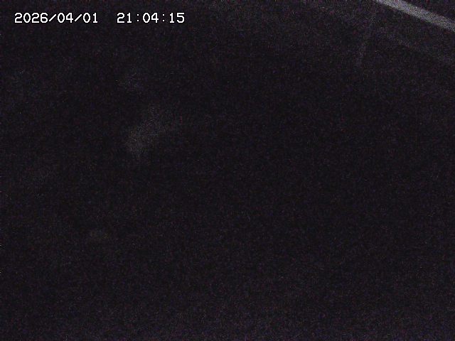 取得できませんでした