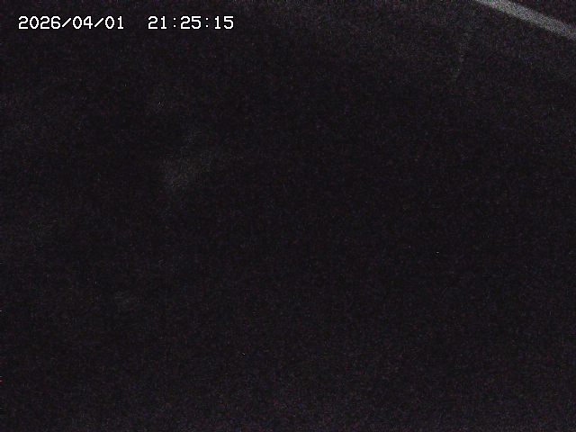 取得できませんでした