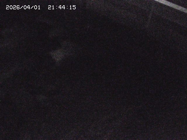 取得できませんでした