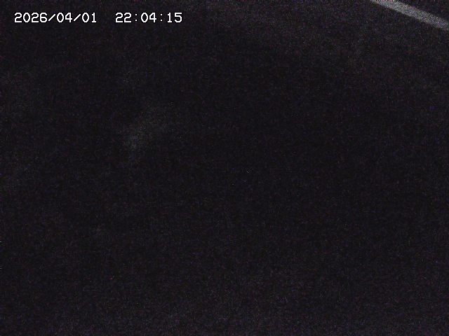 取得できませんでした