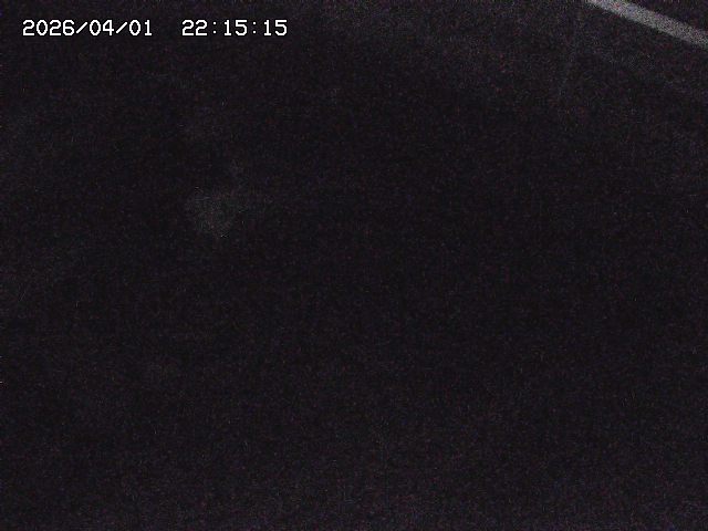 取得できませんでした