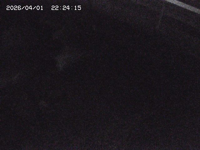 取得できませんでした