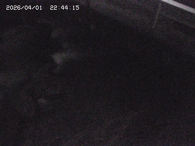 取得できませんでした