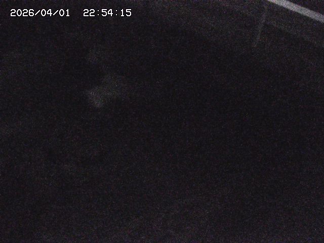 取得できませんでした