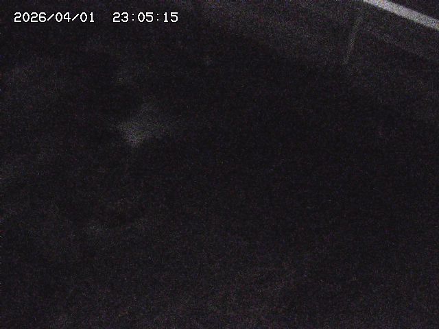 取得できませんでした