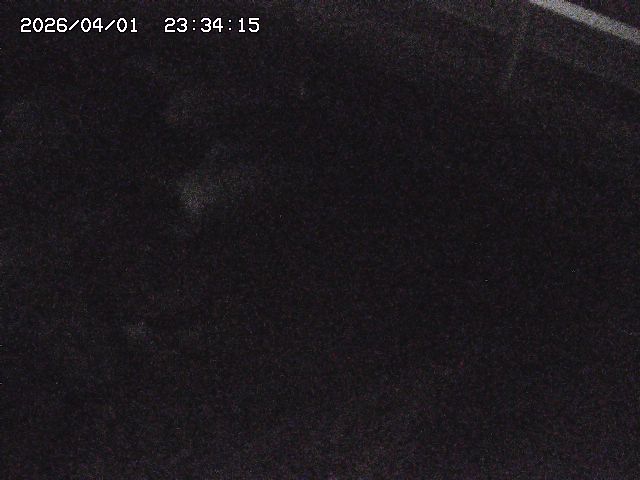 取得できませんでした