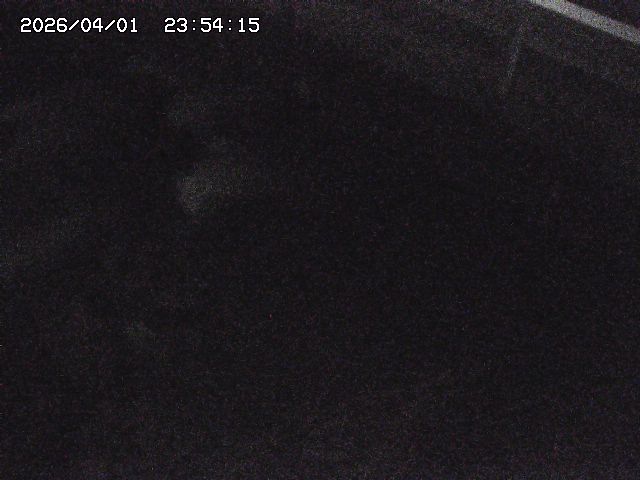 取得できませんでした