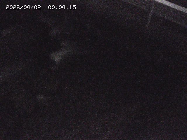 取得できませんでした