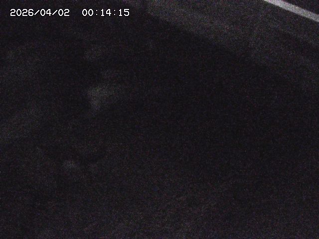 取得できませんでした