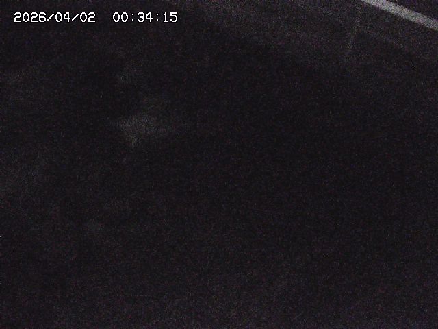 取得できませんでした