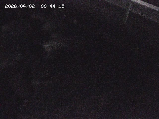 取得できませんでした