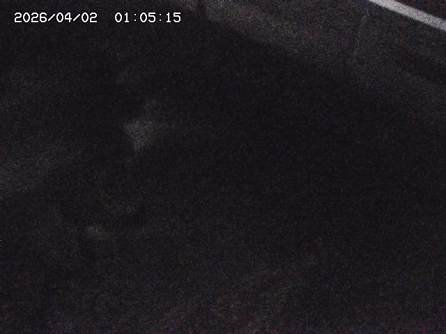 取得できませんでした