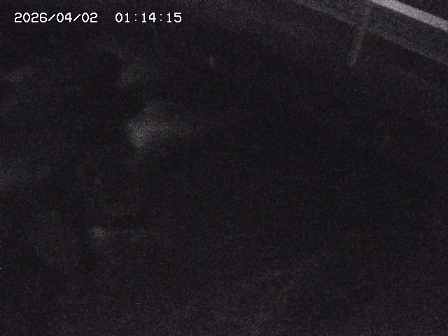 取得できませんでした