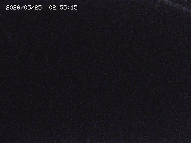 取得できませんでした