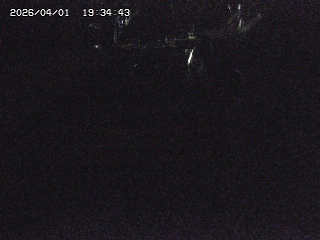 取得できませんでした