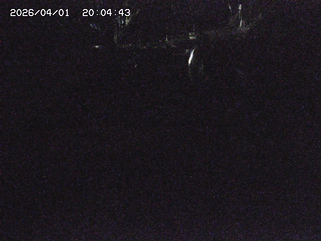 取得できませんでした