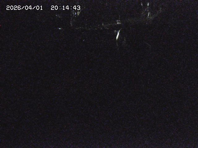 取得できませんでした