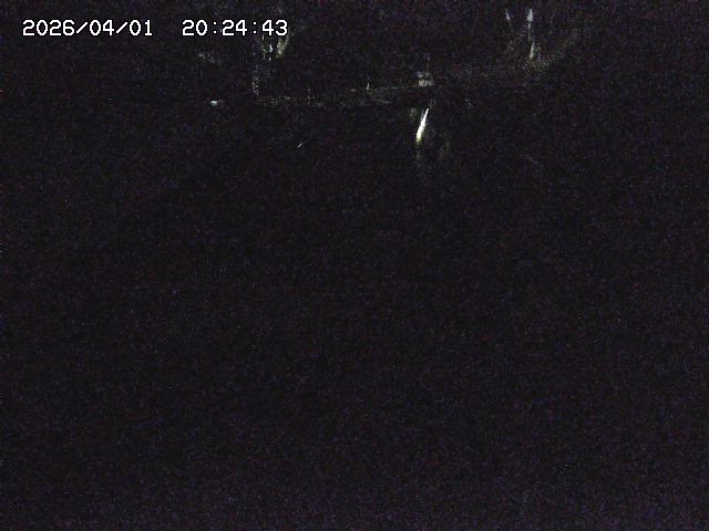 取得できませんでした