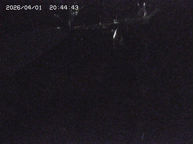 取得できませんでした