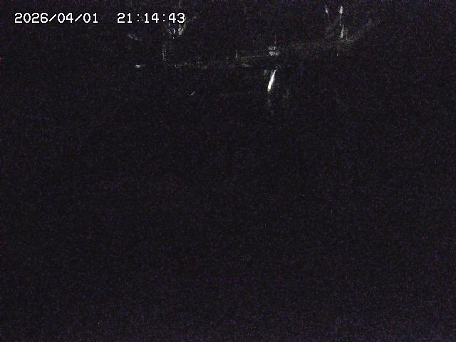 取得できませんでした