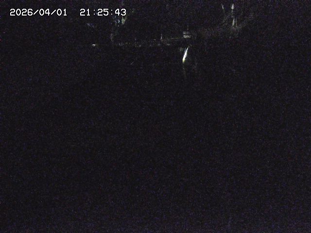 取得できませんでした