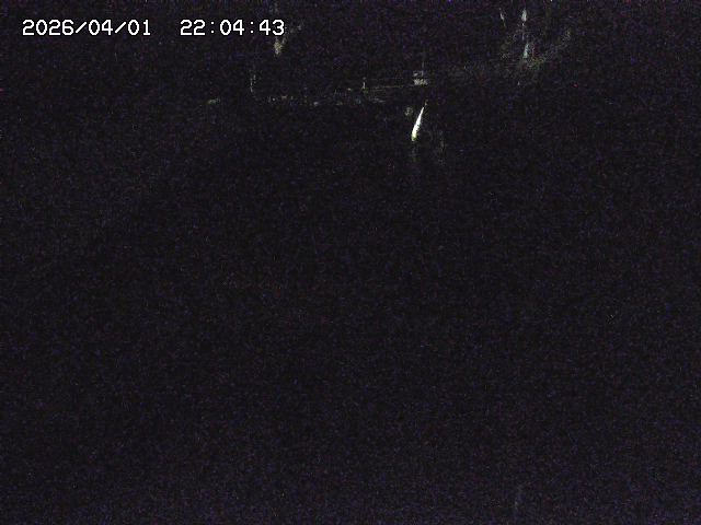 取得できませんでした