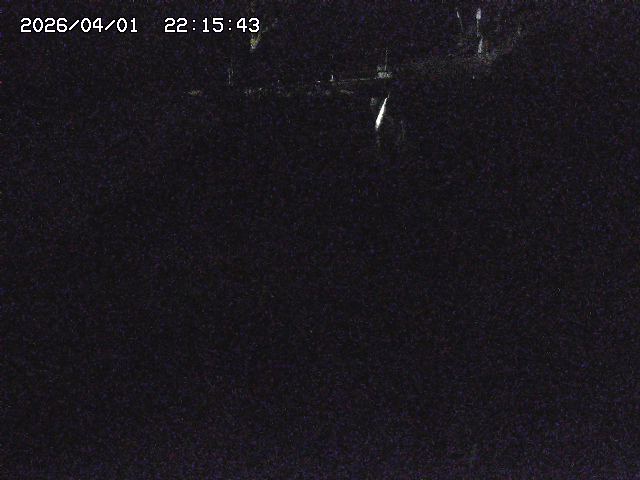 取得できませんでした