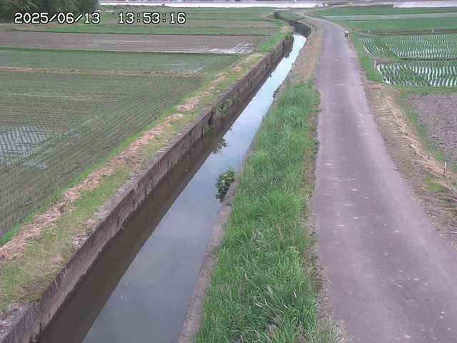 取得できませんでした