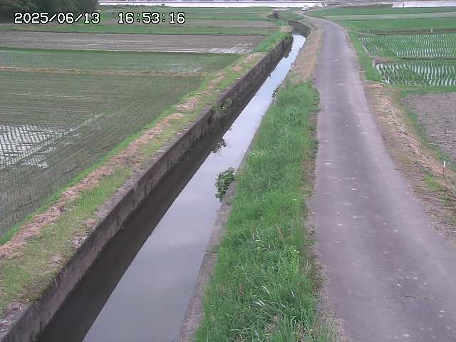 取得できませんでした