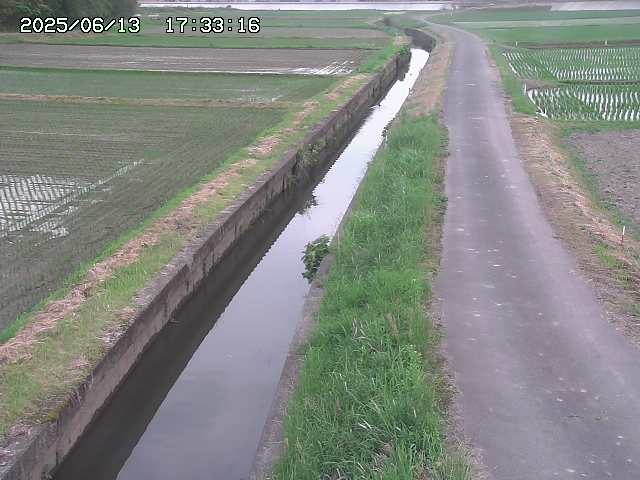 取得できませんでした