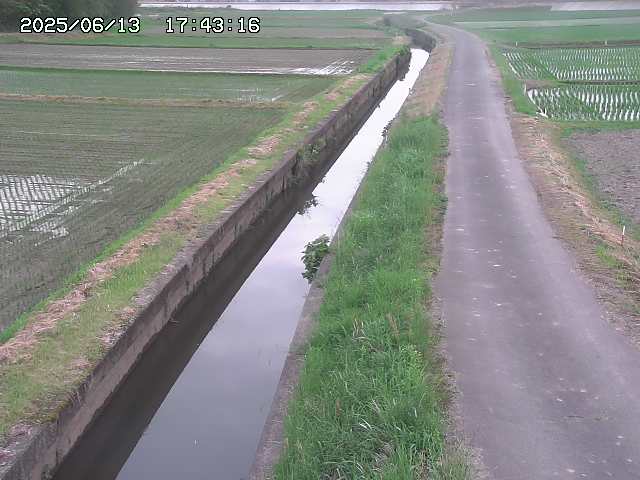 取得できませんでした