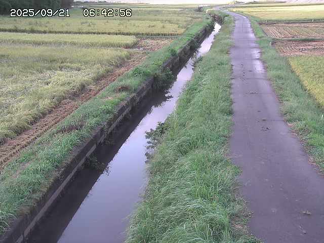 取得できませんでした