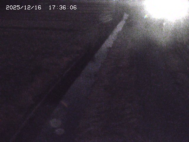 取得できませんでした