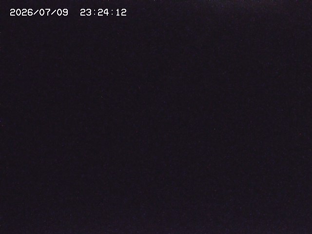 取得できませんでした