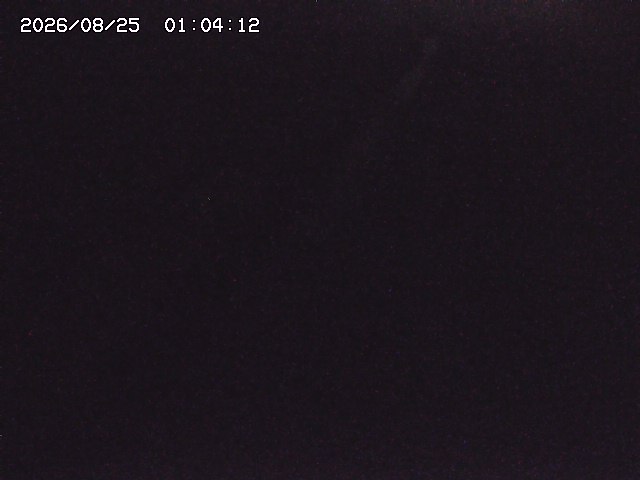取得できませんでした