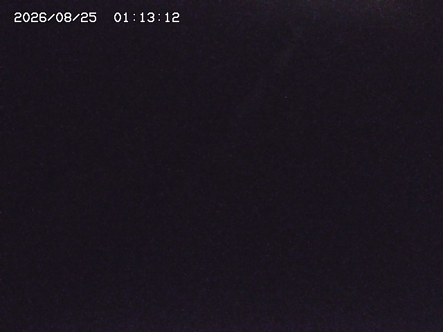 取得できませんでした