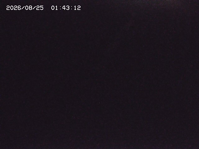 取得できませんでした