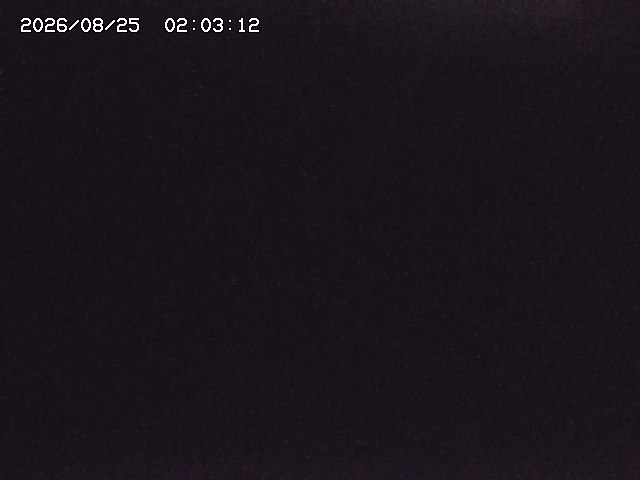 取得できませんでした