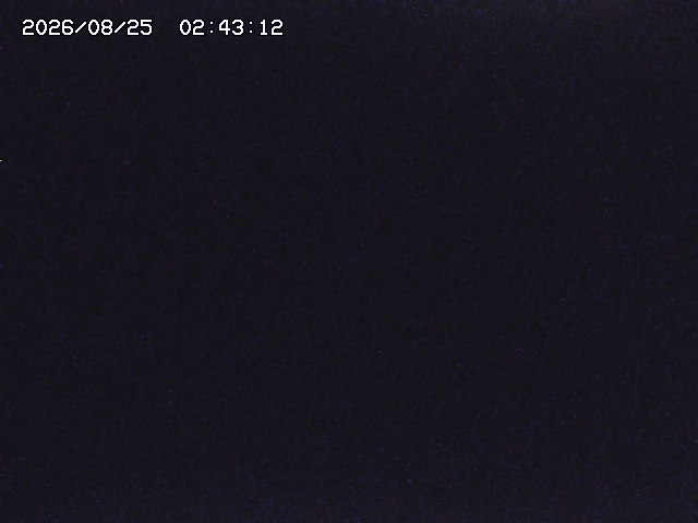 取得できませんでした