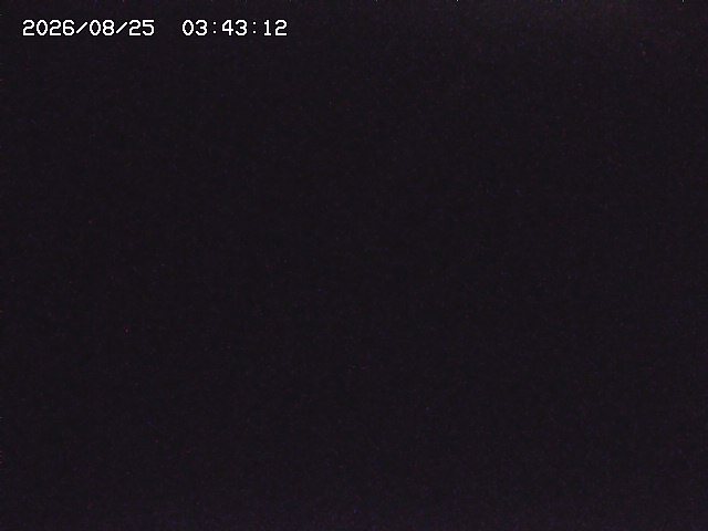 取得できませんでした