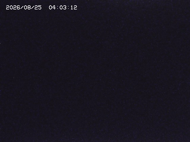 取得できませんでした