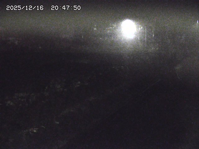 取得できませんでした