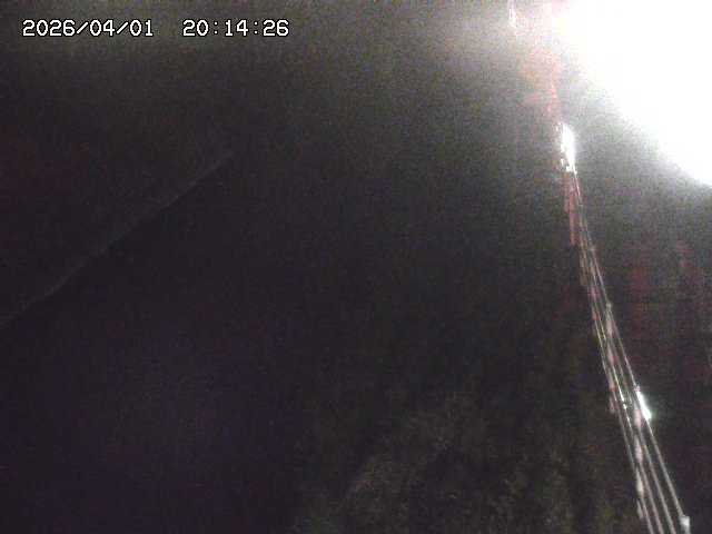 取得できませんでした