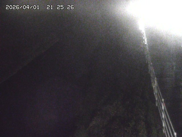 取得できませんでした