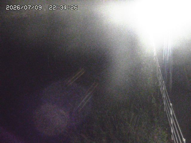 取得できませんでした