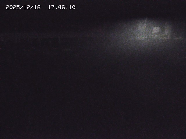 取得できませんでした