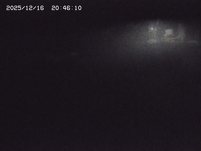 取得できませんでした