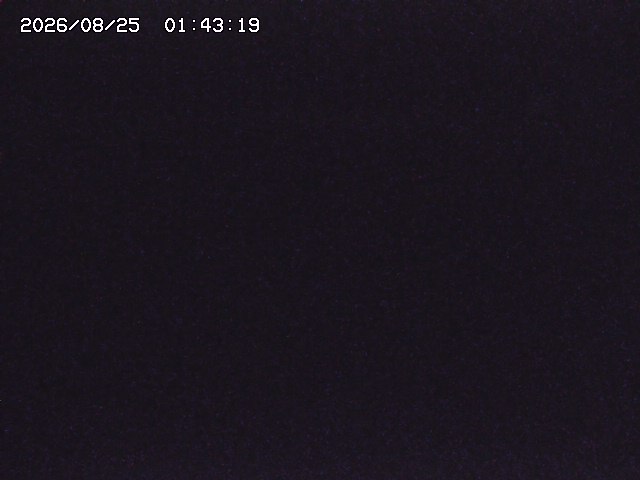 取得できませんでした
